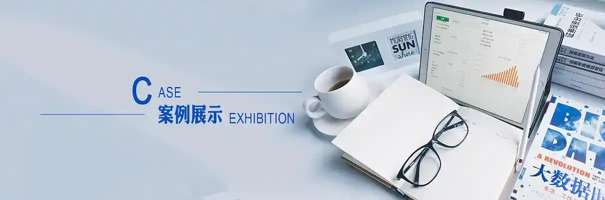 蕲春县软件开发